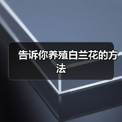 告诉你养殖白兰花的方法(图1) 告诉你养殖白兰花的方法(图1)
