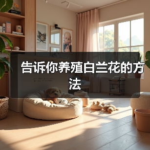告诉你养殖白兰花的方法(图2) 告诉你养殖白兰花的方法(图2)