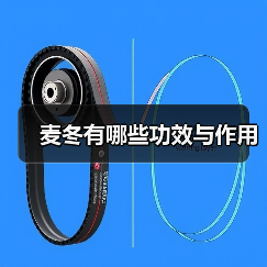 麦冬有哪些功效与作用(图3) 麦冬有哪些功效与作用(图3)