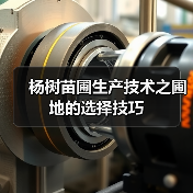 杨树苗圃生产技术之圃地的选择技巧(图1)