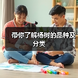 带你了解杨树的品种及分类(图1) 带你了解杨树的品种及分类(图1)