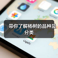 带你了解杨树的品种及分类(图3) 带你了解杨树的品种及分类(图3)