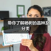 带你了解杨树的品种及分类(图4) 带你了解杨树的品种及分类(图4)