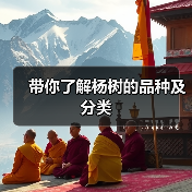 带你了解杨树的品种及分类(图2) 带你了解杨树的品种及分类(图2)
