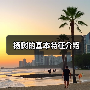 杨树的基本特征介绍(图2) 杨树的基本特征介绍(图2)