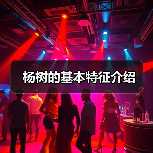 杨树的基本特征介绍(图1) 杨树的基本特征介绍(图1)