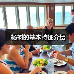 杨树的基本特征介绍(图4) 杨树的基本特征介绍(图4)