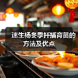 速生杨冬季扦插育苗的方法及优点(图3)