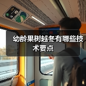 幼龄果树越冬有哪些技术要点(图2)