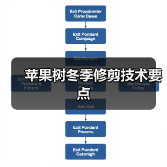 苹果树冬季修剪技术要点(图1) 苹果树冬季修剪技术要点(图1)