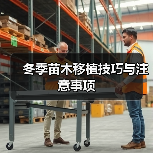 冬季苗木移植技巧与注意事项(图3)