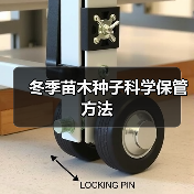 冬季苗木种子科学保管方法(图4) 冬季苗木种子科学保管方法(图4)