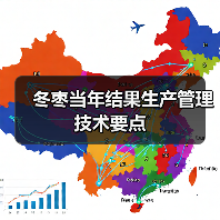 冬枣当年结果生产管理技术要点(图4)