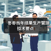 冬枣当年结果生产管理技术要点(图3)