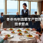 冬枣当年结果生产管理技术要点(图1)