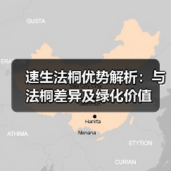 速生法桐优势解析：与法桐差异及绿化价值(图1)