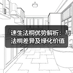 速生法桐优势解析：与法桐差异及绿化价值(图4)