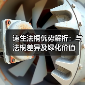 速生法桐优势解析：与法桐差异及绿化价值(图3)
