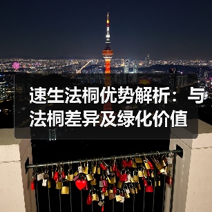 速生法桐优势解析：与法桐差异及绿化价值(图2)