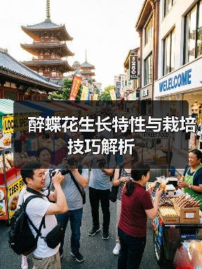 醉蝶花生长特性与栽培技巧解析(图3)