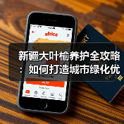 新疆大叶榆养护全攻略:如何打造城市绿化优选树种(图3) 新疆大叶榆养护全攻略:如何打造城市绿化优选树种(图3)
