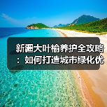 新疆大叶榆养护全攻略:如何打造城市绿化优选树种(图1) 新疆大叶榆养护全攻略:如何打造城市绿化优选树种(图1)