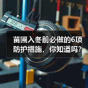 苗圃入冬前必做的6项防护措施，你知道吗？(图1)