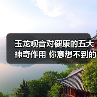 玉龙观音对健康的五大神奇作用 你意想不到的养生秘密(图3)