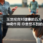 玉龙观音对健康的五大神奇作用 你意想不到的养生秘密(图4)