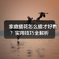 家庭插花怎么插才好看？实用技巧全解析(图1)