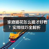 家庭插花怎么插才好看？实用技巧全解析(图3)