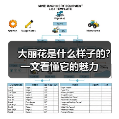 大丽花是什么样子的?一文看懂它的魅力(图3) 大丽花是什么样子的?一文看懂它的魅力(图3)