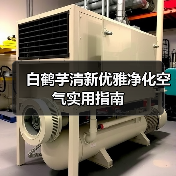 白鹤芋清新优雅净化空气实用指南(图1) 白鹤芋清新优雅净化空气实用指南(图1)