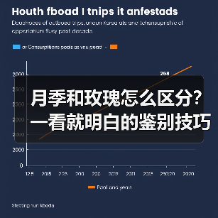 月季和玫瑰怎么区分?一看就明白的鉴别技巧!(图4) 月季和玫瑰怎么区分?一看就明白的鉴别技巧!(图4)