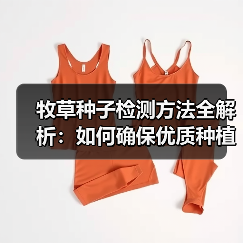 牧草种子检测方法全解析：如何确保优质种植