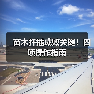 苗木扦插成败关键!四项操作指南(图3) 苗木扦插成败关键!四项操作指南(图3)