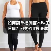 如何简单检测苗木种子质量?7种实用方法详解(图3) 如何简单检测苗木种子质量?7种实用方法详解(图3)