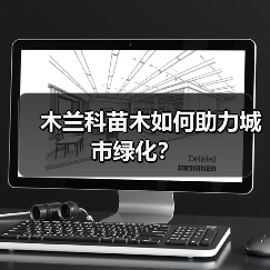 木兰科苗木如何助力城市绿化?(图1) 木兰科苗木如何助力城市绿化?(图1)
