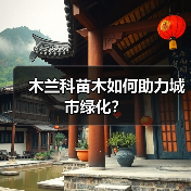 木兰科苗木如何助力城市绿化?(图2) 木兰科苗木如何助力城市绿化?(图2)