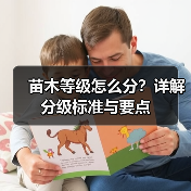 苗木等级怎么分?详解分级标准与要点(图4) 苗木等级怎么分?详解分级标准与要点(图4)
