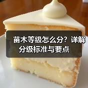 苗木等级怎么分?详解分级标准与要点(图2) 苗木等级怎么分?详解分级标准与要点(图2)