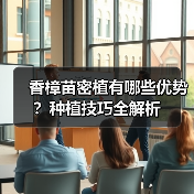 香樟苗密植有哪些优势？种植技巧全解析(图4)