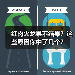 红肉火龙果不结果？这些原因你中了几个？(图3)