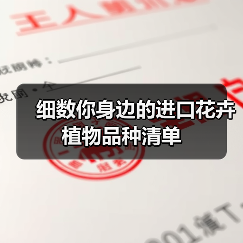 细数你身边的进口花卉植物品种清单(图3) 细数你身边的进口花卉植物品种清单(图3)