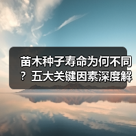 苗木种子寿命为何不同?五大关键因素深度解析(图3) 苗木种子寿命为何不同?五大关键因素深度解析(图3)