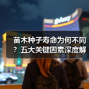 苗木种子寿命为何不同?五大关键因素深度解析(图1) 苗木种子寿命为何不同?五大关键因素深度解析(图1)