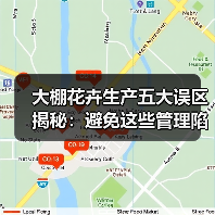 大棚花卉生产五大误区揭秘：避免这些管理陷阱(图2)