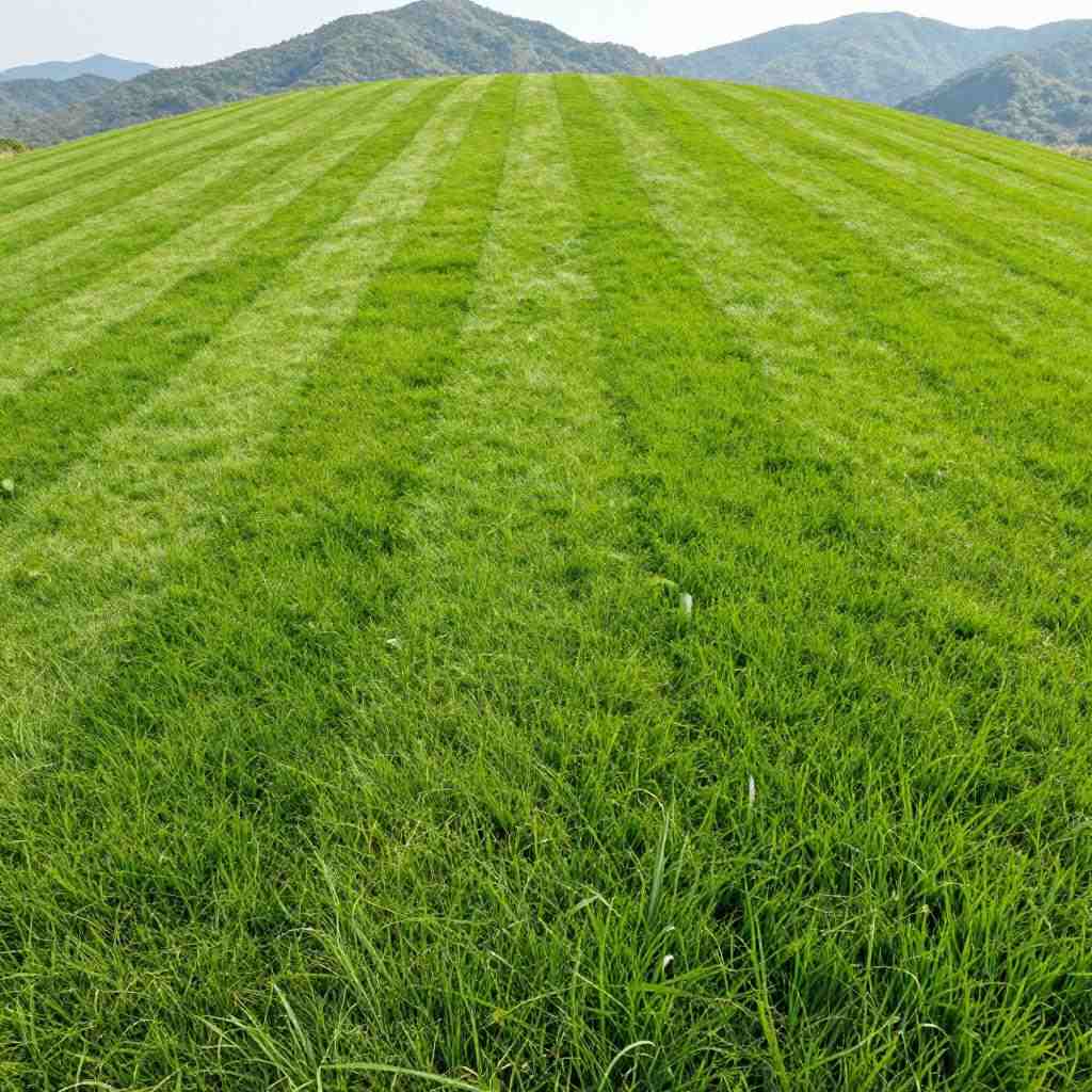 草皮种植技术，打造绿色生态的园艺艺术(图2)