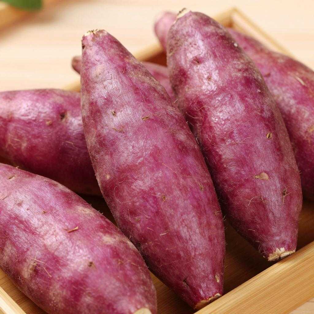 红薯，营养丰富的低热量食物，不会导致发胖