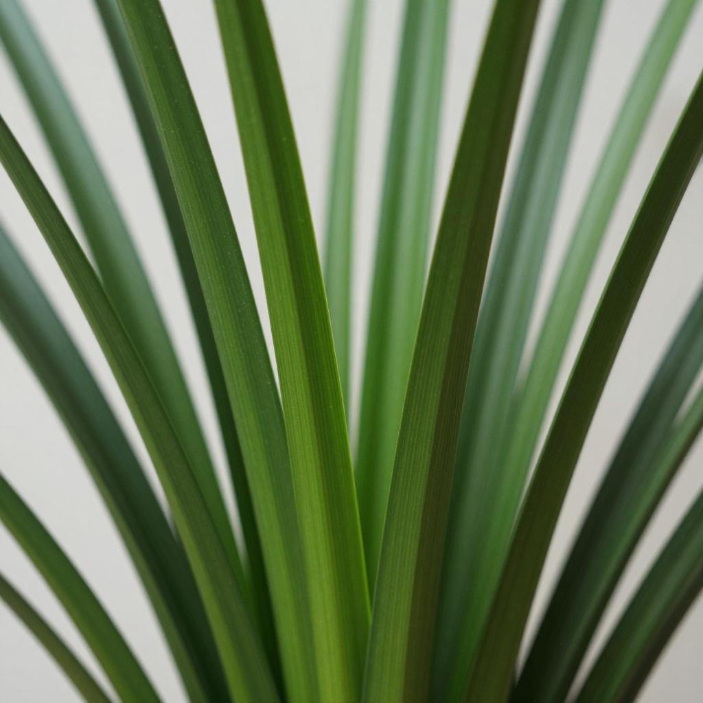 春剑与春兰，植物之美的双重体验